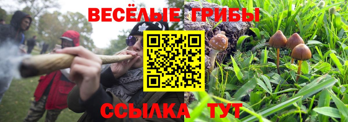 Спасск-Дальний  Псилоцибиновые грибы GOLDEN TEACHER  Вход с VPN 